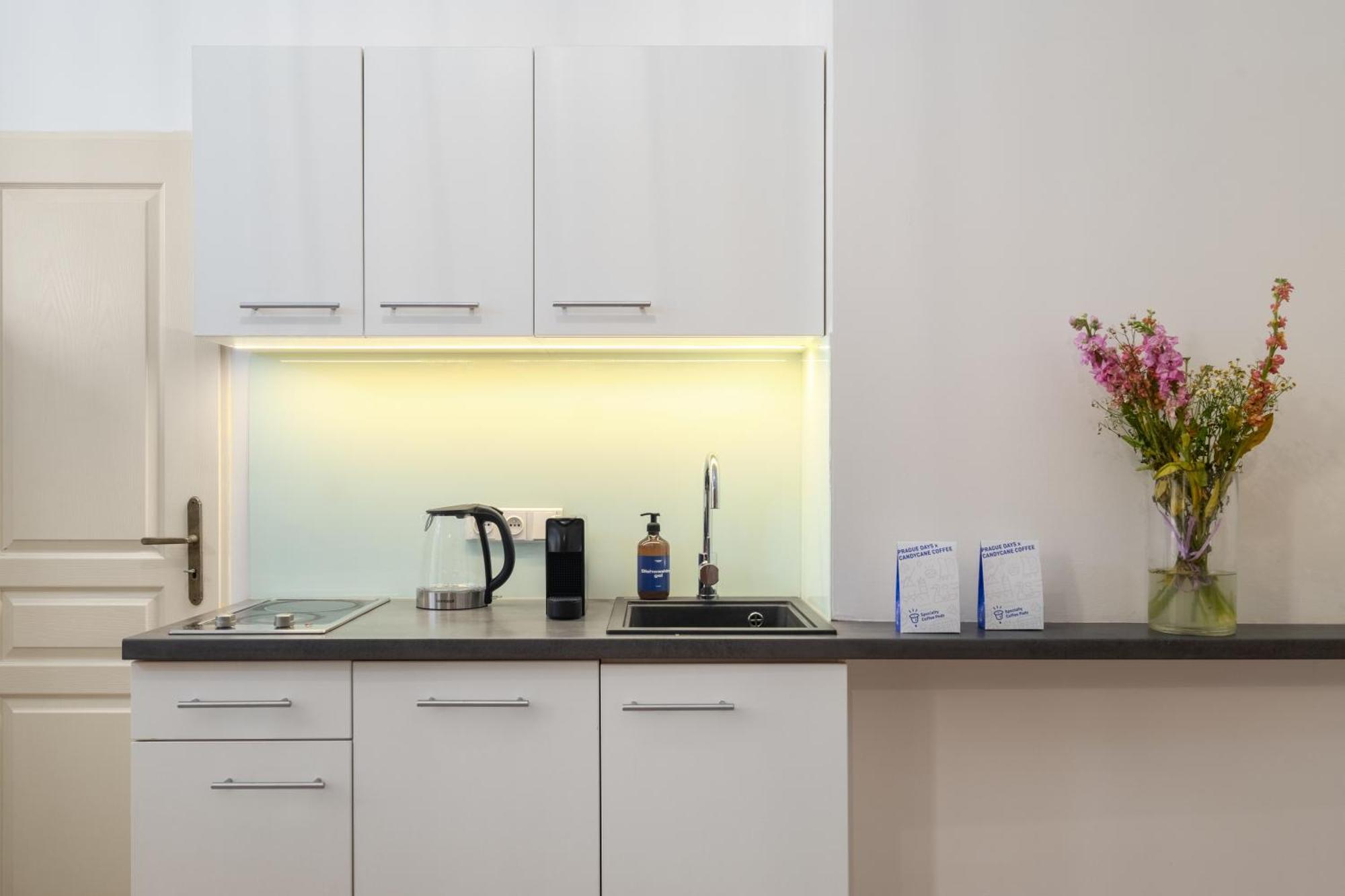 Stru House By Prague Days - Luxurious Apartments Next To National Theatre المظهر الخارجي الصورة